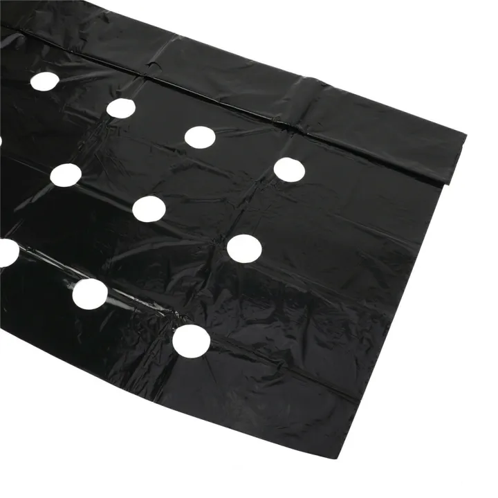Plastic%200.95*10m%20Greenhouse%20Grow%20Vegetable%20Keep%20Warm%20Mulch%20Film%20Perforated%20Film%20Agriculture%20Supplies%20Garden%20Supplies%20-%20Image%206