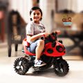 RFL Jim & Jolly Rechargeable Pikko Tricycle For Baby & Kids Bike With Music & Light Prince Cycle Store. 