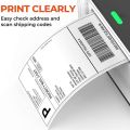 Shipping Label DT (4x6 inch) - 500 labels per Roll | Direct Thermal Stickers | Smudge-Free, Fade-Resistant, High-Quality Print for Paperfly Courier | Packaging & Shipping Supplies | Inventory Labels | Premium Self-Adhesive Thermal Labels - White. 