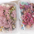【In-Demand Item】 Dried Flowers Natural Floral Art Craft Scrapbooking Resin Jewelry Making mold Cherry Super Store. 