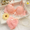 Modern Push Up Bra and Panty Set Girl Floral Lace Underwear Set for Women.