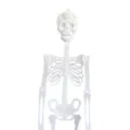 Portable Skull Prop Attractive Plastic Funny Halloween Luminous Skeleton Body Toy Sculpture for Festival. 