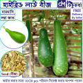 Lau/ লাউ বারমাসি - ১০/২০+ পিচ বীজ - হাইব্রিড সারা বছর চাষযোগ্য.