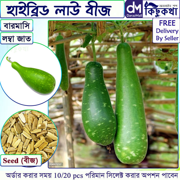 Lau/ লাউ বারমাসি - ১০/২০+ পিচ বীজ - হাইব্রিড সারা বছর চাষযোগ্য