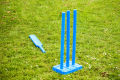 Plastic Cricket Stamp. 