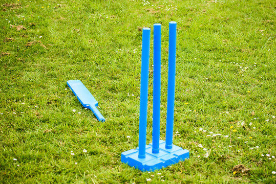Plastic%20Cricket%20Stamp%20-%20Image%205