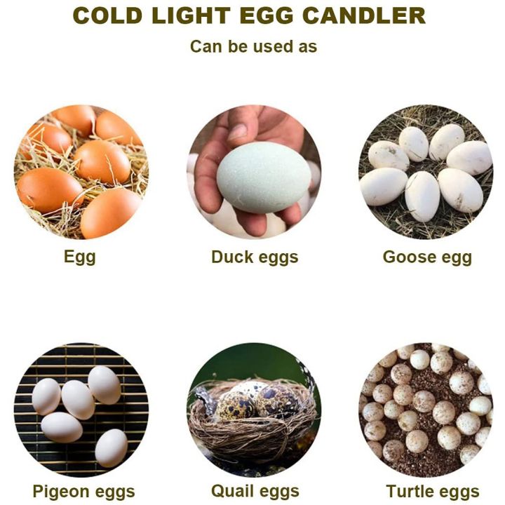 Egg%20Candler%20Tester%20Rechargeable%20Wireless%20Cool%20Light%20Incubator%20Candling%20Lamp%20with%20Two%20Soft%20Head%20Fit%20for%20All%20Eggs%20Type%20-%20Image%204