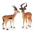 【The-Best】 Wild Forest Animal Zoo plastic Models Antelope Gazelle Argali Model Action Figure Figurines Teaching Kids Toys. 
