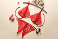 Women Sexy Bra set and Panties set Embroidery Ladies Underwear. 