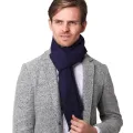 New Winter Cashmere Scarf Men Business Plain Color Pashmina Autumn Wool Shawls and Wraps Male High Quality Keep Warm Scarves. 