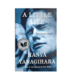 A Little Life by Hanya Yanagihara. 