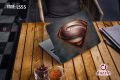 Superman Laptop Sticker LS55. 