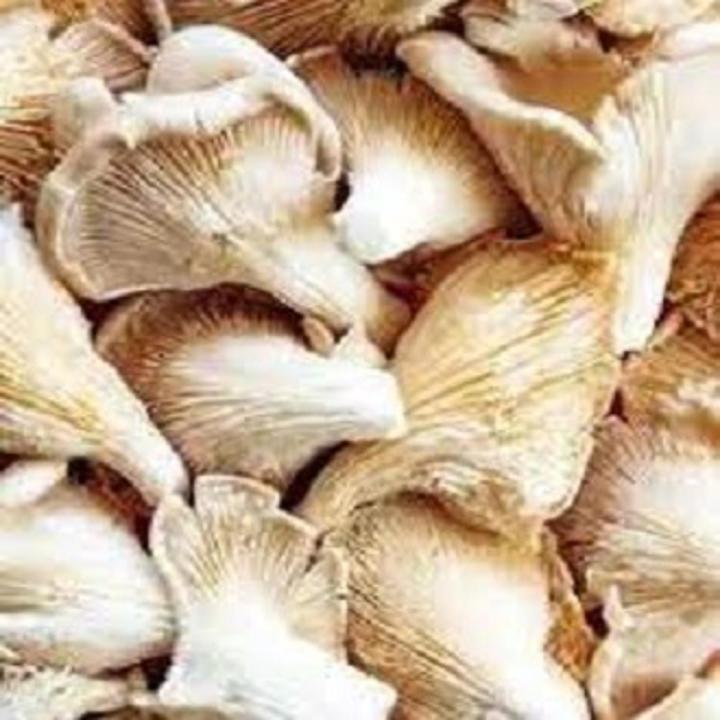 Best 100% Dry Oyster Mushroom 250gm