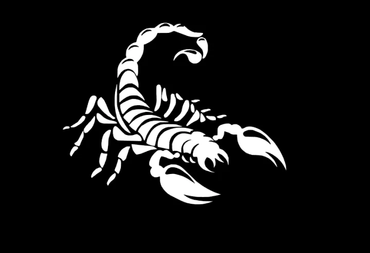 Scorpion%20sticker%20for%20bike%20-%20Image%203