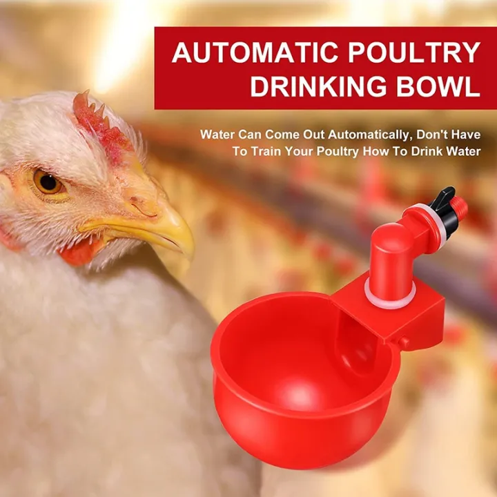 %E3%80%90Toy%20life%20hall%E3%80%91Chicken%20Cup%20Automatic%20Waterer%20Drinking%20Bowl%20Thread%20Watering%20Feeder%20Cup%20for%20Chicken%20-%20Image%204