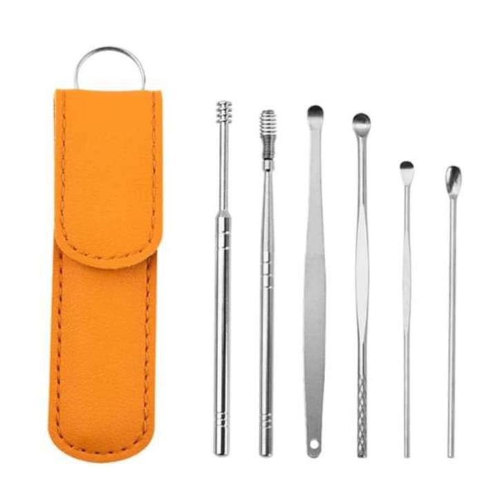 6PCS Ear Pick Set Portable Ear Cleaner Set Stainless Steel With Lather Case