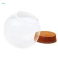 3pcs Glass Ball Shaped Cover Landscape Terrarium Container Lid Vase Bottle. 