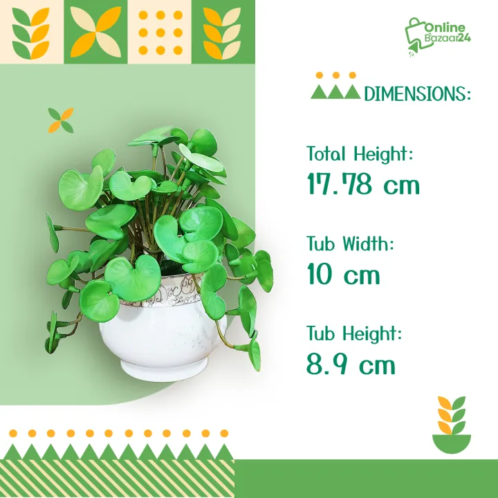Artificial%20Thankuni%20pata%20Plant%20In%20Round%20Ceramic%20pot-%20Thankuni%20pata%20With%20Tub%20-%20Home%20Decoration%20Item%20-%20Home%20Decoration%20Item%20-%20artificial%20flower-Artificial%20Thankuni%20leaves%20Plants%20-%20Image%204