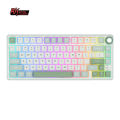 RK Royal Kludge R75 Gasket Wired Mechanical Keyboard 81 Key 80% RGB Backlit Hot-swappable Gaming Keyboard with MDA PBT Keycaps.