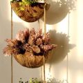Set of 6 Hanging Coconut Planter Set w/ Drainage Hole- Perfect for Succulents, Flowers, Small Plants, Indoor & Outdoor Gardens- Handcarved by Artisans, Eco-Friendly & Sustainable. 