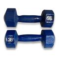 5 KG BLUE DUMBLE 2 PIS.