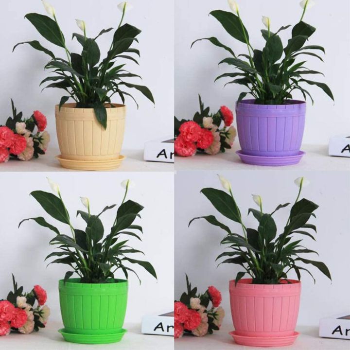 Colorful%20Flower%20Pots%203%20Inchi(7.5cm)%205%20pcs%20with%20nice%20tray%20-%20Image%204