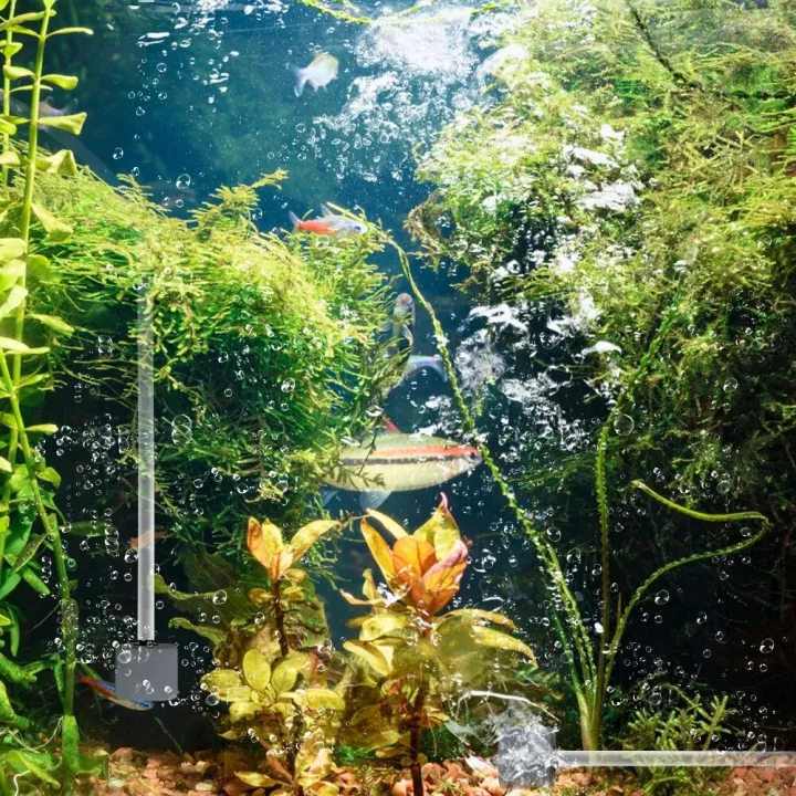 USB%20Aquarium%20Air%20Pump%20With%20Air%20Stone%20And%20Silicone%20Tube%20Energy%20Saving%20Oxygen%20Pump%20For%20Aquarium%20Fishing%20Air%20Compressor%20Aerator%20-%20Image%206