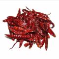 Dry Red Chilli Whole-100gm. 