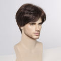 ALAN EATON Men's Dark Brown Synthetic Wig Natural Short Layered Wig Pixie Cut Hair Heat Resistant Fiber Fluffy Full Wig for Male. 
