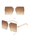 Women's Oversized Irregular Square Sunglasses Fashion Trend Casual Elegant Frame Female.