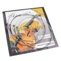 4pcs A Set of Violin Strings E-A-D-G Core Steel+Nickel Wound Exquisite Stringed Musical Instrument Parts Accessories. 