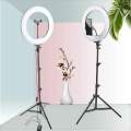 12 Inch Selfie Ring Light With Tripod Stand & Cell Phone Holder For Live Stream / Makeup - Ring Light. 