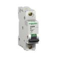 Schneider MCB SP Circuit Breakers 16A-India. 