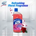 (Tiffin Box Free) Lizol Disinfectant Floor & Surface Cleaner 2 X 500ml Floral & Lavender.