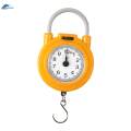 Hanging Weight Scale 10kg Spring Weight Scale Spring Balance Hook Scale. 