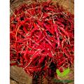 Dried Red Chili / Sukna Morich ( Bogura ) - 250GM. 