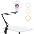 PULUZ 10.2 inch 26cm Ring Curved Light + Desktop Arm Stand USB 3 Modes Dimmable Dual Color Temperature LED Vlogging Selfie Photography Video Lights with Phone Clamp(Black). 