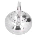 Home Tea Kettle Stainless Steel Exquisite Teapot Coffee Pot With Strainers. 