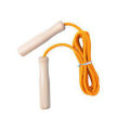 10 feet long Skipping Rope Adjustable Jumping Rope Best in Fitness Sports Exercise Workout.