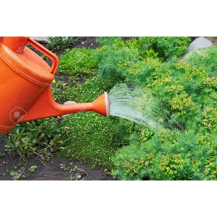 Plastic garden watering can 10 L