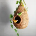 One Hanging Bird Nest with two birds & plant for home and garden decor. Babui Pakhir Basha of 02 size, ( Height with hanging rope15 inch & 14 inch )।.