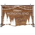 Christmas Wooden Floor Backdrop for Photography Winter Wood Board Texture Portrait Background Sonw Forest Photo Studio Props.
