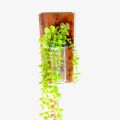 Wall flower Vase of natural wood and glass for office and living room. ( with plant / without plant).