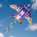 Outdoor Ports Kids Cartoon Airplane Kite Generic Creative Fighter Plane Kites Flying Game Easy Flying Colorful Triangle Kite. 