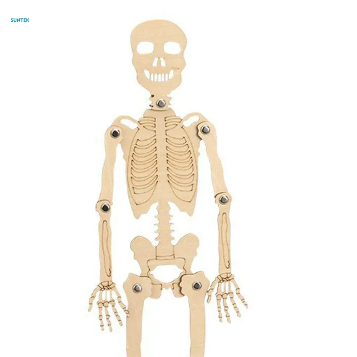 Novelty%20Science%20Toy%20Durable%20Projects%203D%20Puzzle%20for%20Boy%20Girls%20Kids%20Preschool%20-%20Image%203