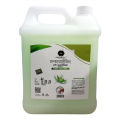 Spark bliss Moisturizing aloe vera liquid hand wash ANTI-BACTERIAL Hand wash- 5Ltr.