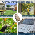 Acrylic bird repeller simulation owl reflective bird repeller. 