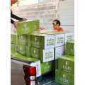 (NEW)FAIRY SCRUB GLUTA SOAP 55g/ SABUN BROKOLI SCRUB/FAIRY COFFEE HONEY SCRUB GOLD (Thailand).