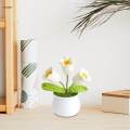 Hand Woven Flowers Fake Plants Knitted Flower Potted for Home Desk Desktop. 