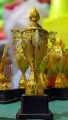 Gold Color Cricket & Football 8 Inch Mini Trophy - Cricket mini trophy - Football mini trophy - Mini trophy.